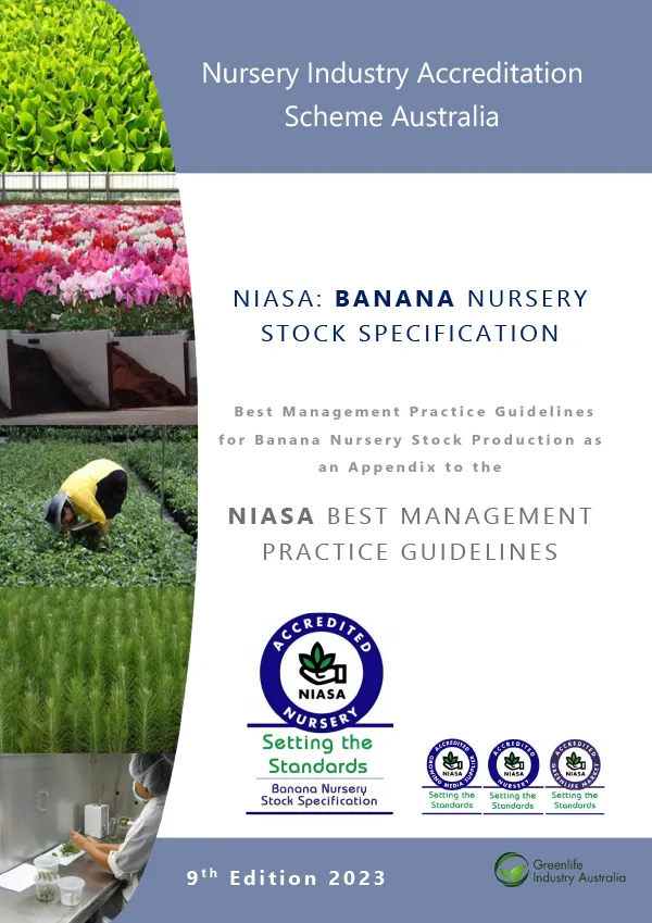 Banana Nursery Stock Specification NIASA Guidelines (PDF)